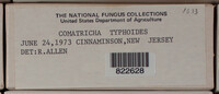 Image Associated With the Occurence